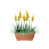 Elho Bac a fleurs Terrasse Vibia Campana - L 77 x W 35 x H 33 cm - Ext
