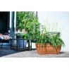 Elho Bac a fleurs Terrasse Vibia Campana - L 77 x W 35 x H 33 cm - Ext