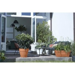 Elho Bac a fleurs Terrasse Vibia Campana - L 77 x W 35 x H 33 cm - Ext