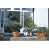 Elho Bac a fleurs Terrasse Vibia Campana - L 77 x W 35 x H 33 cm - Ext