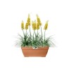 Elho Bac a fleurs Terrasse Vibia Campana - L 77 x W 35 x H 33 cm - Ext