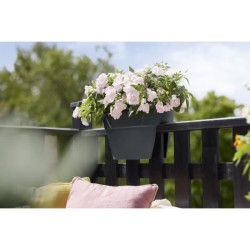 ELHO Balconniere Vibia Campana Flower Bridge 40 - 26x39x22cm - Balcon