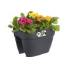 ELHO Balconniere Vibia Campana Flower Bridge 40 - 26x39x22cm - Balcon