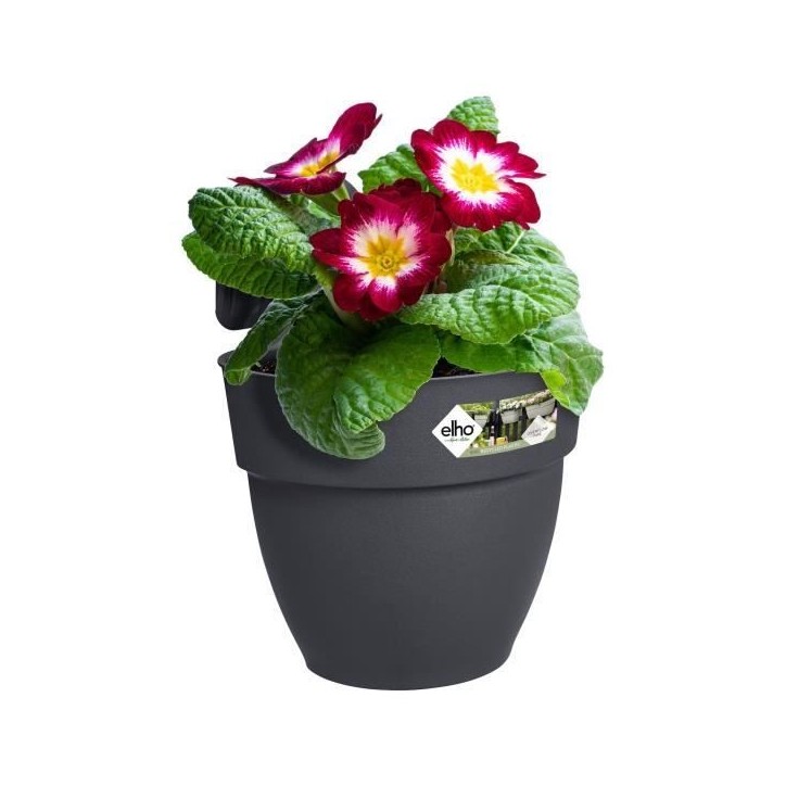 ELHO Pot de fleurs balcon Vibia Campana Easy Hanger Small - Anthracite - Balcon extérieur - L 24.1 x W 20.5 x H 26.5 cm ELHO Pot de fleurs balcon Vibia Campana Easy Hanger Small - Anthracite - Balcon extérieur - L 24.1 x W 20.5 x H 26.5 cm