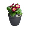 ELHO Pot de fleurs balcon Vibia Campana Easy Hanger Small - Anthracite