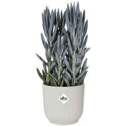 ELHO Pot de fleurs Rond VIBES - Plastique - Ø25xH 23.0 cm - Blanc/Bla