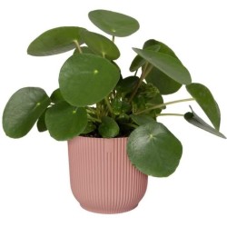 ELHO Pot de fleurs Rond VIBES - Ø29,5 x H27,2 cm - Plastique - Bleu F