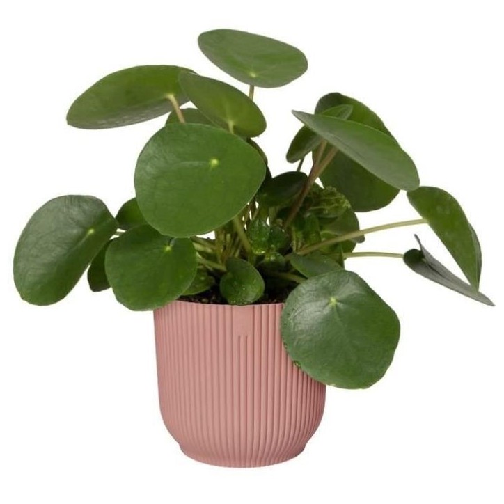 ELHO Pot de fleurs Rond VIBES - Ø29,5 x H27,2 cm - Plastique - Bleu Foncé ELHO Pot de fleurs Rond VIBES - Ø29,5 x H27,2 cm - Plastique - Bleu Foncé