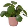 ELHO Pot de fleurs Rond VIBES - Ø29,5 x H27,2 cm - Plastique - Bleu F