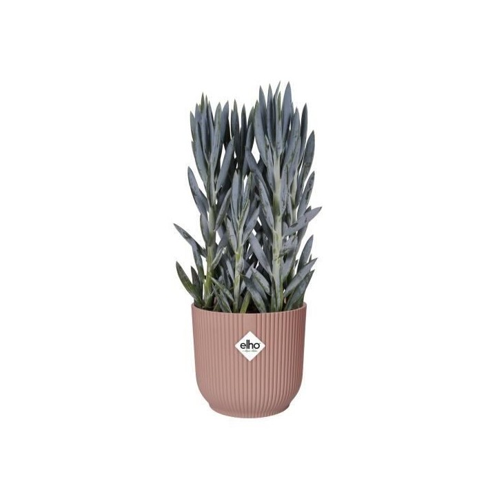 ELHO Pot de fleurs rond avec roues Vibes Fold - Ø 35 x H 32 cm - Intérieur - 100% recyclé - Rose ELHO Pot de fleurs rond avec roues Vibes Fold - Ø 35 x H 32 cm - Intérieur - 100% recyclé - Rose