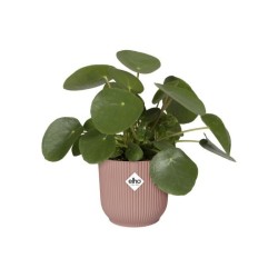 ELHO Pot de fleurs rond avec roues Vibes Fold - Ø 35 x H 32 cm - Int