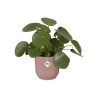 ELHO Pot de fleurs rond avec roues Vibes Fold - Ø 35 x H 32 cm - Int