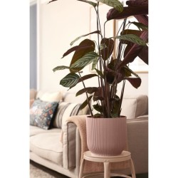 ELHO Pot de fleurs rond avec roues Vibes Fold - Ø 35 x H 32 cm - Int