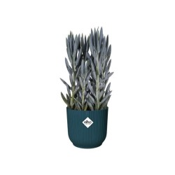ELHO Pot de fleurs rond avec roues Vibes Fold - Ø 35 x H 32 cm - Int
