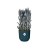 ELHO Pot de fleurs rond avec roues Vibes Fold - Ø 35 x H 32 cm - Int