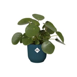 ELHO Pot de fleurs rond avec roues Vibes Fold - Ø 35 x H 32 cm - Int