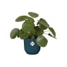 ELHO Pot de fleurs rond avec roues Vibes Fold - Ø 35 x H 32 cm - Int