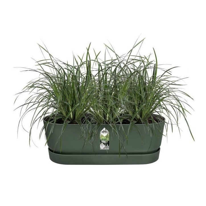 ELHO Balconniere GREENVILLE EASY BALCONY - L 21.2 x W 52 x H 19.4 cm - Leaf Green ELHO Balconniere GREENVILLE EASY BALCONY - L 21.2 x W 52 x H 19.4 cm - Leaf Green