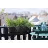 ELHO Balconniere Greenville Easy Balcony 52 - Living Noir - Balcon - L