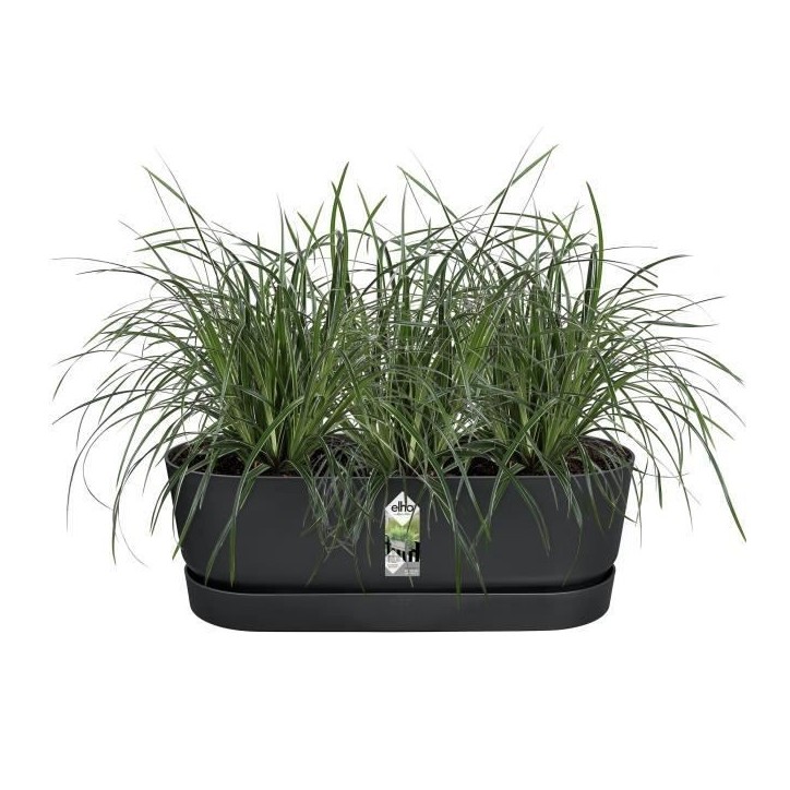 ELHO Balconniere Greenville Easy Balcony 52 - Living Noir - Balcon - L 21.2 x W 52 x H 19.4 cm ELHO Balconniere Greenville Easy Balcony 52 - Living Noir - Balcon - L 21.2 x W 52 x H 19.4 cm