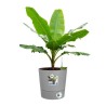 ELHO Pot de fleur rond GREENSENSE AQUA CARE - 15 L - 29,5 x 29,,5 x H