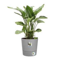 ELHO Pot de fleur Carré Greensense Aqua Care - Ø 43 x H 42.5 cm - 39