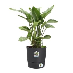 ELHO Pot de fleur Greensense Aqua Care rond - Ø 43 x H 43 cm - Intér
