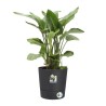 ELHO Pot de fleur Greensense Aqua Care rond - Ø 43 x H 43 cm - Intér