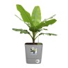 ELHO Pot de fleur Carré Greensense Aqua Care - Ø 29,5 x H 30,2 cm -