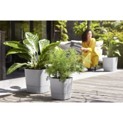 ELHO Pot de fleurs Greensense Aqua Care Carré 38 - Ciment Clair - Int