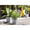 ELHO Pot de fleurs Greensense Aqua Care Carré 38 - Ciment Clair - Int