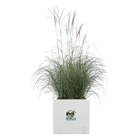ELHO Bac a fleurs Vivo Next Square 40 - Ø 39 x H 38 cm - Intérieur,Extérieur - 100% recyclé - Blanc