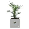 ELHO Bac a fleurs Vivo Next Square 40 - Ø 39 x H 38 cm - Intérieur,E