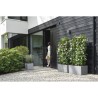 ELHO Bac a fleurs Vivo Next Square 40 - Ø 39 x H 38 cm - Intérieur,E
