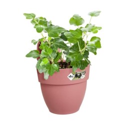 ELHO Pot de fleurs/Balconniere Vibia Campana Easy Hanger Small - Balco