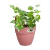 ELHO Pot de fleurs/Balconniere Vibia Campana Easy Hanger Small - Balco