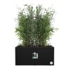 ELHO Bac a fleurs Vivo Next Long 80 - L 78 x W 39 x H 38 cm - Intérie