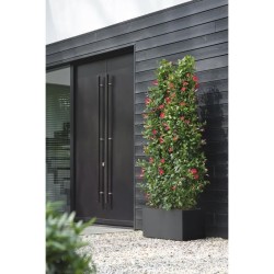 ELHO Bac a fleurs Vivo Next Long 80 - L 78 x W 39 x H 38 cm - Intérie