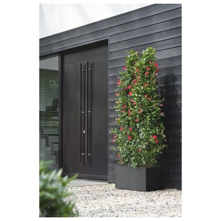 ELHO Bac a fleurs Vivo Next Long 80 - L 78 x W 39 x H 38 cm - Intérieur,Extérieur - 100% recyclé - Noir ELHO Bac a fleurs Vivo Next Long 80 - L 78 x W 39 x H 38 cm - Intérieur,Extérieur - 100% recyclé - Noir