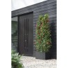 ELHO Bac a fleurs Vivo Next Long 80 - L 78 x W 39 x H 38 cm - Intérie