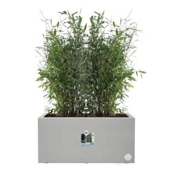 ELHO Bac a fleurs Vivo Next Long 80 - L 78 x W 39 x H 38 cm - Intérie