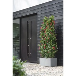 ELHO Bac a fleurs Vivo Next Long 80 - L 78 x W 39 x H 38 cm - Intérie