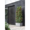 ELHO Bac a fleurs Vivo Next Long 80 - L 78 x W 39 x H 38 cm - Intérie