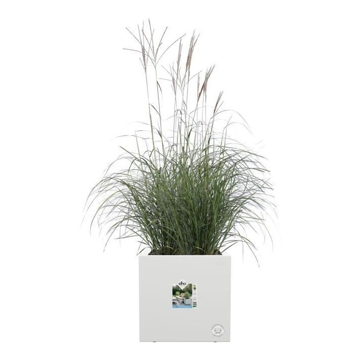 ELHO Bac a fleurs Vivo Next Square 30 - Ø 30 x H 29 cm - Intérieur,Extérieur - 100% recyclé - Blanc ELHO Bac a fleurs Vivo Next Square 30 - Ø 30 x H 29 cm - Intérieur,Extérieur - 100% recyclé - Blanc