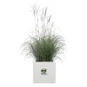 ELHO Bac a fleurs Vivo Next Square 30 - Ø 30 x H 29 cm - Intérieur,E