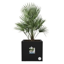 ELHO Bac a fleurs Vivo Next Square 30 - Ø 30 x H 29 cm - Intérieur,E