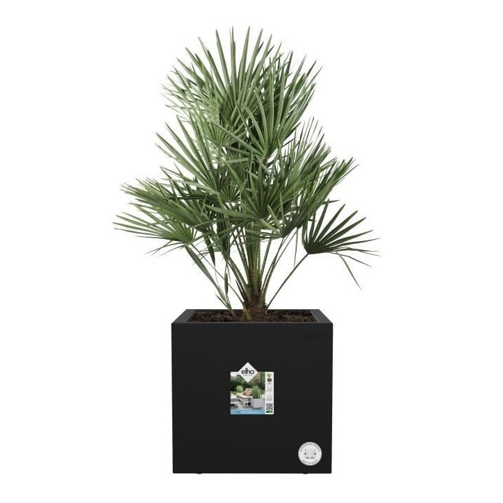 ELHO Bac a fleurs Vivo Next Square 30 - Ø 30 x H 29 cm - Intérieur,Extérieur - 100% recyclé - Noir ELHO Bac a fleurs Vivo Next Square 30 - Ø 30 x H 29 cm - Intérieur,Extérieur - 100% recyclé - Noir