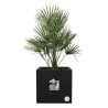 ELHO Bac a fleurs Vivo Next Square 30 - Ø 30 x H 29 cm - Intérieur,E
