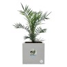 ELHO Bac a fleurs Vivo Next Square 30 - Ø 30 x H 29 cm - Intérieur,E