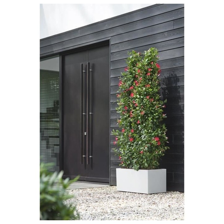 Elho Bac a fleurs Vivo Next Long 60 - L 59 x W 30 x H 29 cm - Intérieur,Extérieur - 100% recyclé - Blanc Elho Bac a fleurs Vivo Next Long 60 - L 59 x W 30 x H 29 cm - Intérieur,Extérieur - 100% recyclé - Blanc